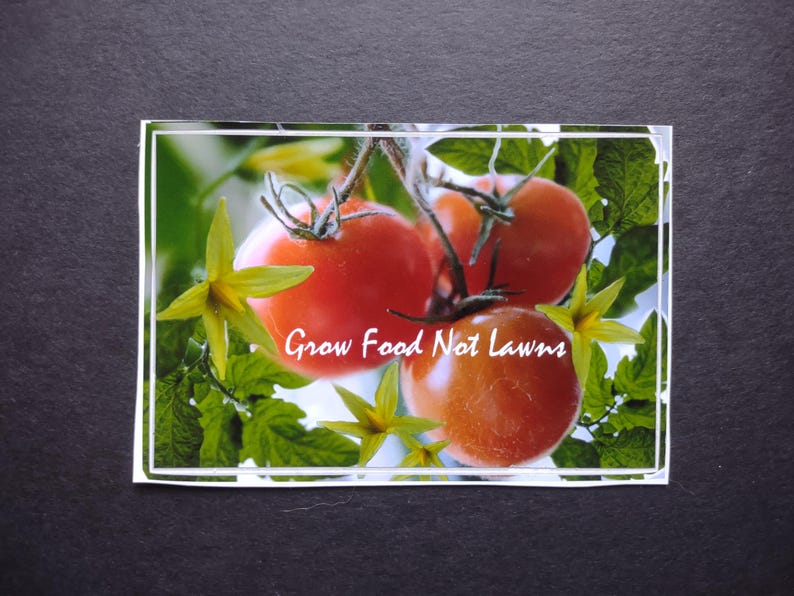 May include: A close-up of three red ripe tomatoes growing on a vine with green leaves and yellow flowers. The text "Grow Food Not Lawns" is written in white on the image.
