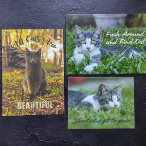 Katzen Postkarten Set - All Cats are Beautiful, FAFO und Direkte Aktion Gets the Goods Postkarten mit Katzenfotos, tolles Geschenk für commies & cat lady