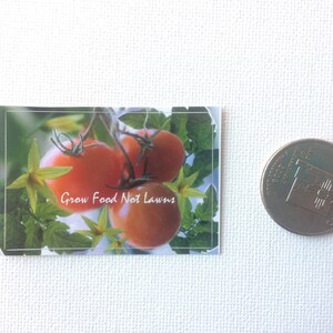 May include: Close-up of a postcard with a photo of red tomatoes growing on a vine. The text on the postcard reads "Grow Food Not Lawns."