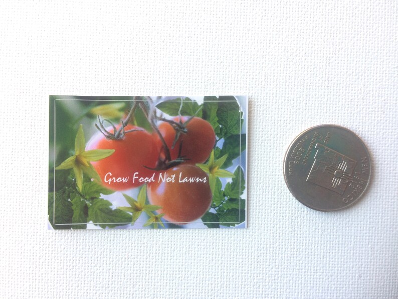 May include: Close-up of a postcard with a photo of red tomatoes growing on a vine. The text on the postcard reads "Grow Food Not Lawns."