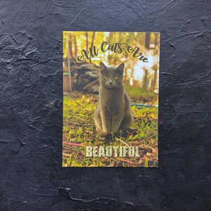 All Cats Are Beautiful 5 x 7 Zoll Premium Postkarte ACAB Postkarte für Katzendamen und Katzenmenschen