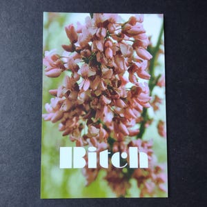 Cadela - cartão postal reciclado com flores redbud do Texas