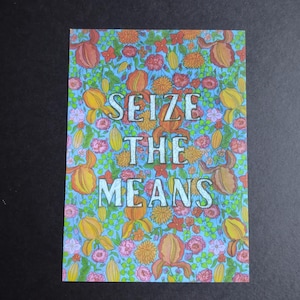 Cartes postales Seize the Means (cartes postales gauchistes/communistes avec citation de Karl Marx du Manifeste communiste), carte postale politique, cadeau marxiste