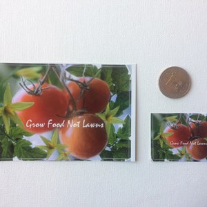 May include: Two stickers with a green leafy background and red tomatoes. The text on the stickers reads "Grow Food Not Lawns".