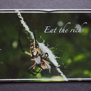 Eat the rich spider decal / vinyl sticker (argiope spider photo) available in two sizes