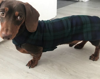 everton dog coat