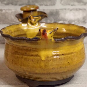 May include: A yellow ceramic planter with a wavy rim and a small bird figurine on the side. The planter has a dark brown glaze and a textured surface.