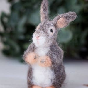 Adorable lapin, lapin miniature, à l’aiguille feutrage