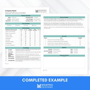 Performance Review Template – Employee Evaluation & Salary Review – Editable MS Word HR Form – Instant Download image 7