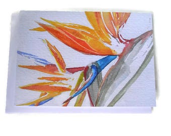 Bird of Paradise - Greeting Card