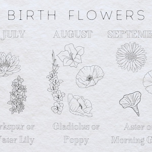 May include: A black and white illustration of birth flowers for each month. July: Larkspur or Water Lily. August: Gladiolus or Poppy. September: Aster or Morning Glory.