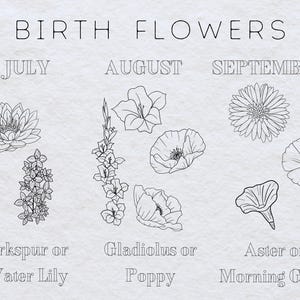 May include: A black and white illustration of birth flowers for each month. July: Larkspur or Water Lily. August: Gladiolus or Poppy. September: Aster or Morning Glory.