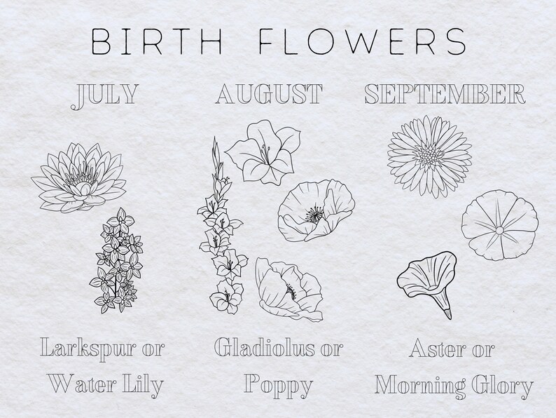 May include: A black and white illustration of birth flowers for each month. July: Larkspur or Water Lily. August: Gladiolus or Poppy. September: Aster or Morning Glory.