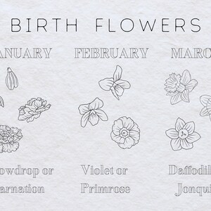 May include: A black and white illustration showing the birth flowers for each month of the year. January: Snowdrop or Carnation. February: Violet or Primrose. March: Daffodil or Jonquil.