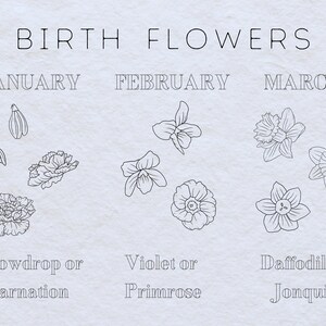 May include: A black and white illustration of birth flowers for each month of the year. January: Snowdrop or Carnation. February: Violet or Primrose. March: Daffodil or Jonquil.