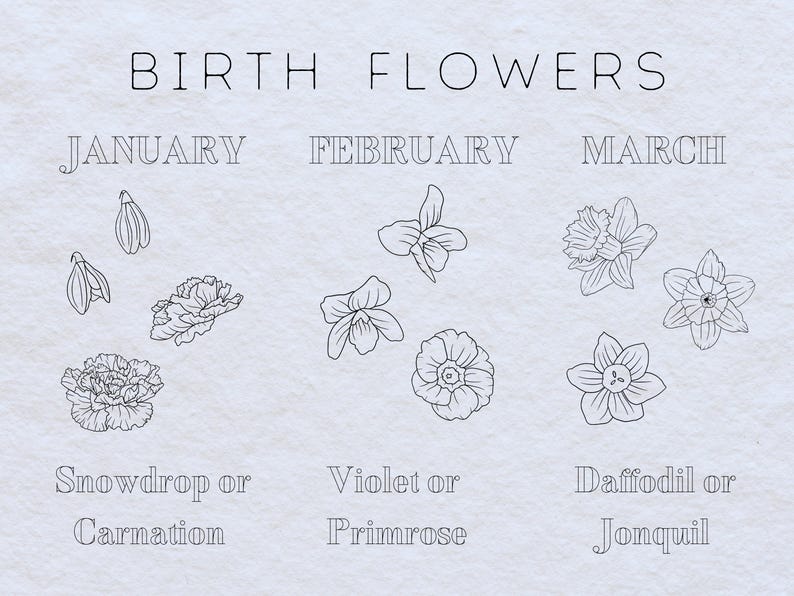 May include: A black and white illustration of birth flowers for each month of the year. January: Snowdrop or Carnation. February: Violet or Primrose. March: Daffodil or Jonquil.