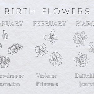May include: A black and white illustration showing the birth flowers for each month of the year. January: Snowdrop or Carnation. February: Violet or Primrose. March: Daffodil or Jonquil.