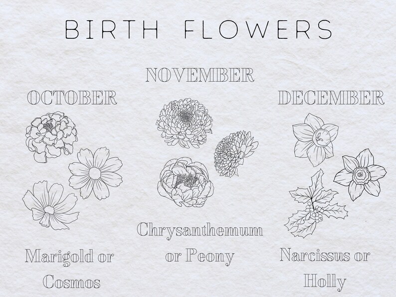 May include: A chart showing birth flowers for each month. October: Marigold or Cosmos. November: Chrysanthemum or Peony. December: Narcissus or Holly.