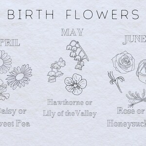 May include: A black and white illustration of birth flowers for each month. April: Daisy or Sweet Pea. May: Hawthorn or Lily of the Valley. June: Rose or Honeysuckle.
