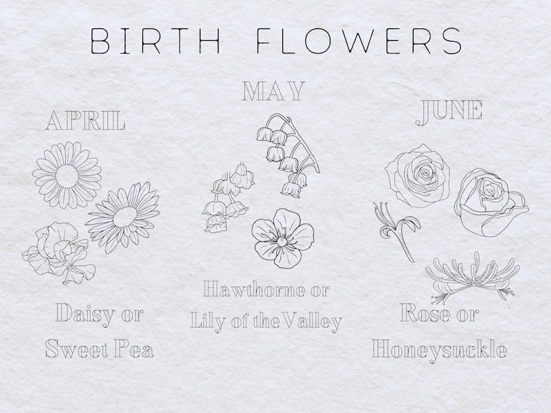 May include: A chart showing birth flowers for the months of April, May, and June. April's birth flower is the daisy or sweet pea. May's birth flower is the hawthorne or lily of the valley. June's birth flower is the rose or honeysuckle.