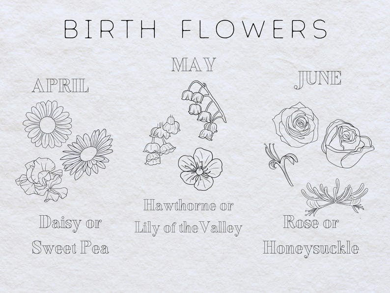 May include: A chart showing birth flowers for the months of April, May, and June. April's birth flower is the daisy or sweet pea. May's birth flower is the hawthorne or lily of the valley. June's birth flower is the rose or honeysuckle.