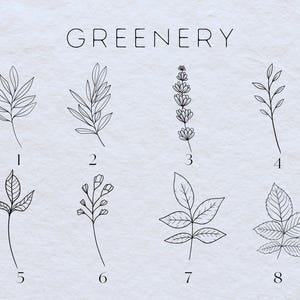 May include: A set of eight black and white line drawings of different types of greenery, labeled with numbers 1 through 8. The word "Greenery" is written at the top of the image.