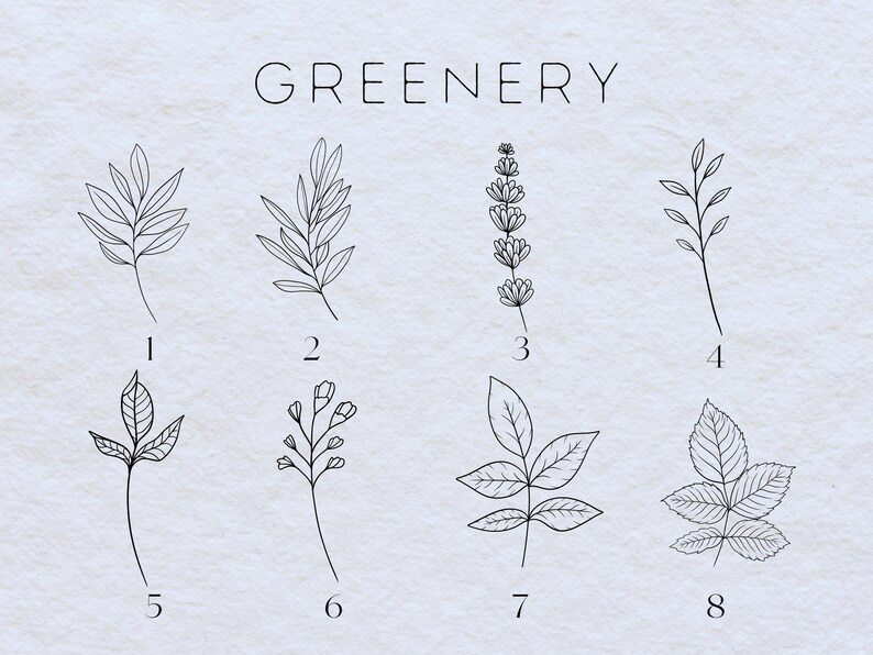 May include: A set of eight black and white line drawings of different types of greenery, labeled with numbers 1 through 8. The word "Greenery" is written at the top of the image.
