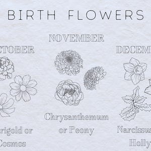 May include: A chart listing birth flowers for October, November, and December. October's birth flower is marigold or cosmos, November's is chrysanthemum or peony, and December's is narcissus or holly.