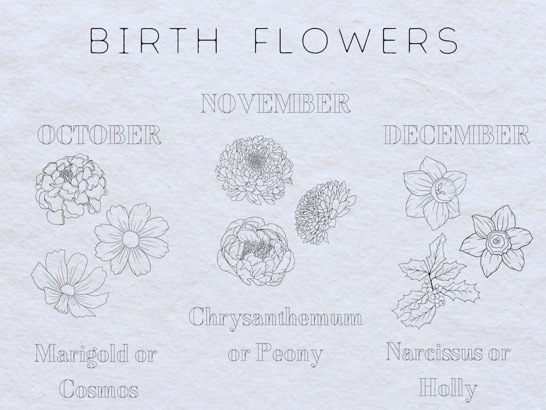May include: A chart listing birth flowers for October, November, and December. October's birth flower is marigold or cosmos, November's is chrysanthemum or peony, and December's is narcissus or holly.