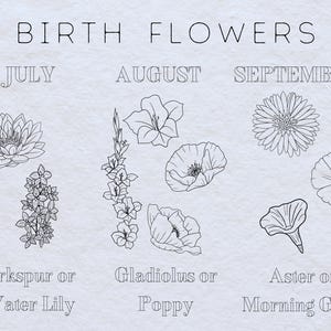 May include: A black and white illustration of birth flowers for each month. July: Larkspur or Water Lily. August: Gladiolus or Poppy. September: Aster or Morning Glory.