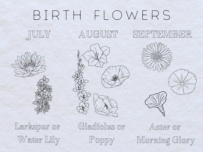 May include: A black and white illustration of birth flowers for each month. July: Larkspur or Water Lily. August: Gladiolus or Poppy. September: Aster or Morning Glory.