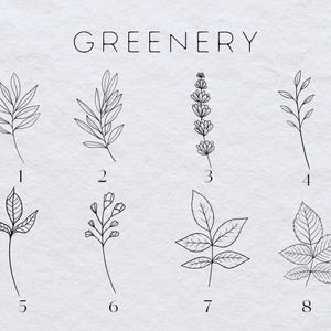 May include: A set of eight black and white line drawings of different types of greenery, labeled with numbers 1 through 8. The word "GREENERY" is written at the top of the image.