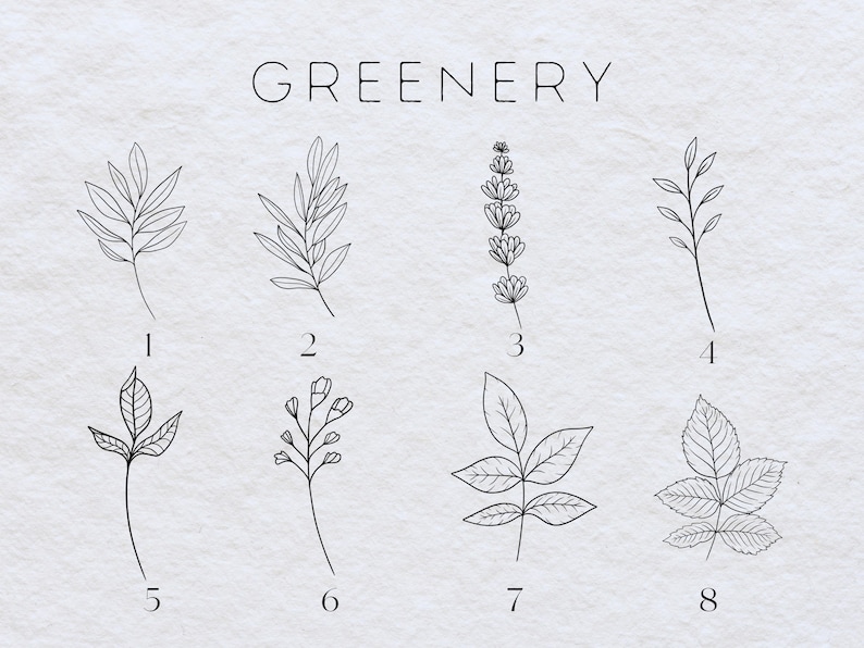 May include: A set of eight black and white line drawings of different types of greenery, labeled with numbers 1 through 8. The word "GREENERY" is written at the top of the image.