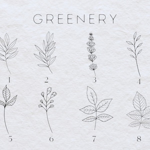 May include: A sheet of paper with the word "Greenery" printed at the top. There are eight black and white line drawings of different types of leaves and plants numbered 1 through 8.