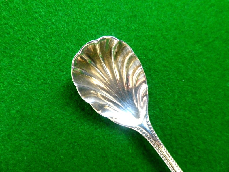scallop shell bowl and beaded handle Victorian silver salt spoon