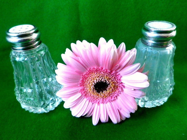 2 mother of pearl and silver top salt and pepper pots with glass bases