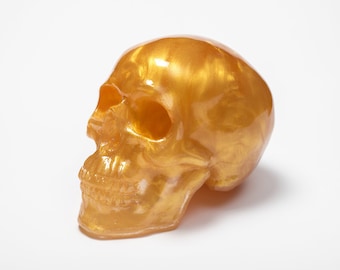 Crystal skull, Clear resin skull, Golden skull, Epoxy resin skull, Real size skull, Home decor, Gift, Souvenir, Table paper weight