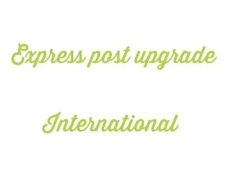 Express Post upgrade for International - heavy or multiple items