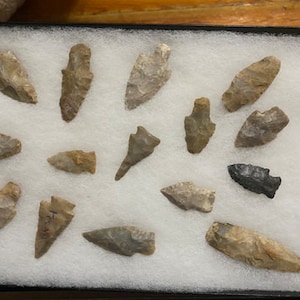 May include: A collection of 17 arrowheads displayed in a white foam-lined box. The arrowheads are made of various types of stone and are of different sizes and shapes.