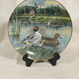 May include: A decorative ceramic plate featuring a painting of two pintail ducks in a lake setting. The plate has a gold rim and a white background. The ducks are in the foreground, with a small house and trees in the background.