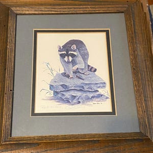 Autographed Gene Gray Framed Racoon Picture