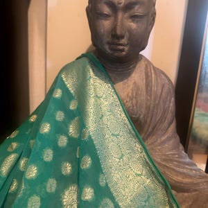 Green georgette banarasi saree