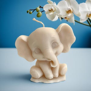 Babypartybevorzugungs-Set Little Peanut — Elefant-Kerze Gastgeschenke | Es ist eine Junge Gender Reveal — Personalisierte Tags
