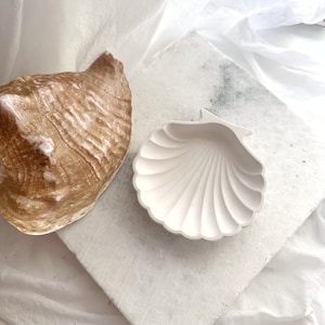 May include: A white ceramic seashell dish with a textured surface sits on a white wooden surface. A large brown seashell is in the background.