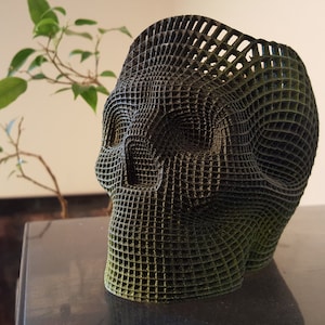 May include: A 3D printed skull sculpture with a black and green gradient finish. The skull is made of a grid-like pattern and has a detailed design.