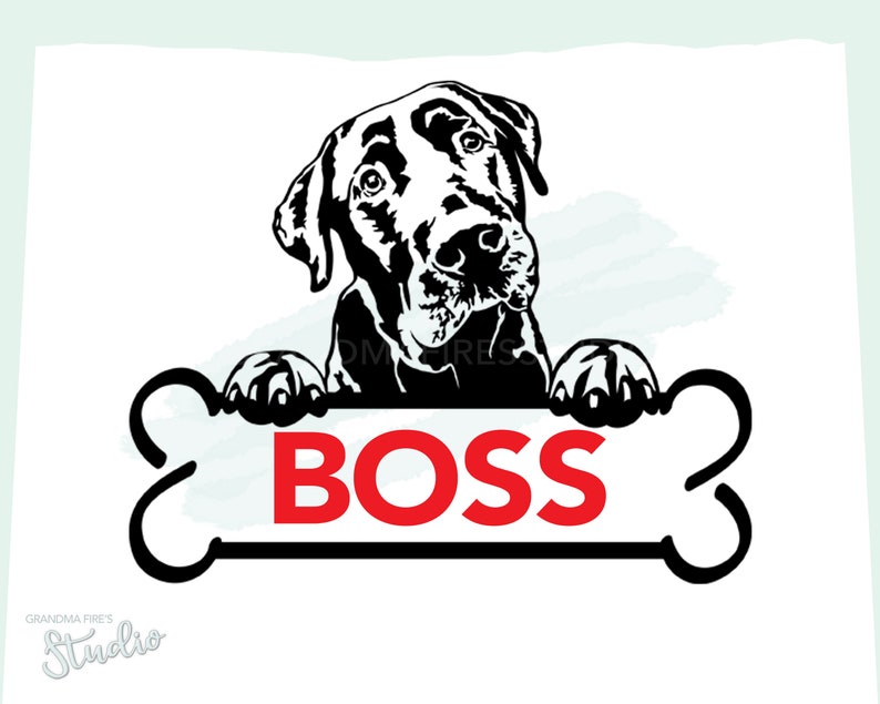 Labrador Retriever SVG, Black Lab, Split Naam, Personaliseren, Hond, Lab, SVG, Waterhond, Labrador, Cut file, Dog Line Art, Vector, Retriever afbeelding 1