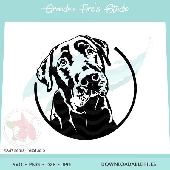 Download Labrador Retriever SVG Black Lab Dog Lab SVG Water Dog | Etsy