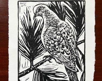 May include: Black and white woodblock print of a mourning dove perched on a white pine branch. The print is signed "Haley Brault '21" and titled "Mourning Dove & White Pine".