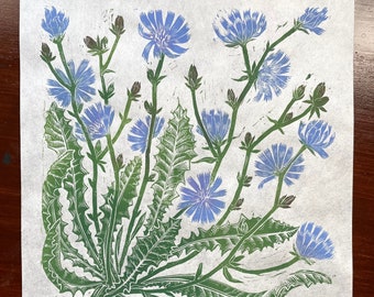 Color Chicory Wildflower Original Linocut Print | Blue Flower Botanical Illustration | Chicorium intybus Relief Block Print