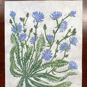 Color Chicory Wildflower Original Linocut Print | Blue Flower Botanical Illustration | Chicorium intybus Relief Block Print